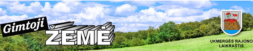 Į senąsias žydų kapines grįžo keturi antkapiai