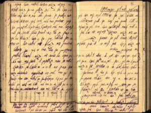 Rudaševskio dienoraštis