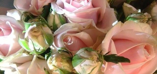 Svekinime Juditą Mackevičienę su 80-uoju jubiliejumi Svekinime Juditą Mackevičienę su 80-uoju jubiliejumi