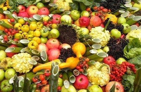 VILNIAUS RENGINIAI ŠEIMOMS: SPALIS