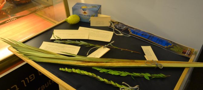 LŽB tęsiasi Sukkoto šventė