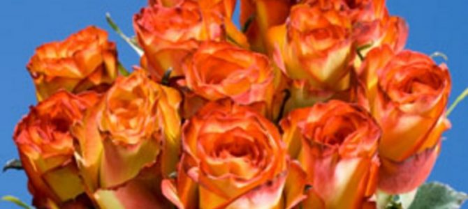 Sveikiname Davidą Kocą su jubiliejiniu gimtadieniu!