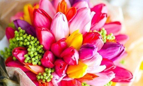 Sveikinimas Ninelai Efros