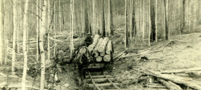 Žydo tremtinio sąvoka Lietuvos visuomenėje šiandien yra beveik užmirštama. Ji tokia pat skausminga kaip lietuvių tremtis Žydo tremtinio sąvoka Lietuvos visuomenėje šiandien yra beveik užmirštama. Ji tokia pat skausminga kaip lietuvių tremtis