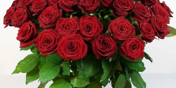 LŽB sveikinimas Genadijui Kofmanui, Panevėžio žydų bendruomenės pirmininkui 65-ojo jubiliejinio gimtadienio proga