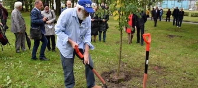Žydus gelbėjusiems žmonėms – liepų giraitė Žydus gelbėjusiems žmonėms – liepų giraitė