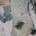 Processed with VSCO with a6 preset