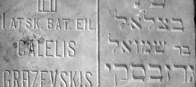 Škirpa galiausiai kovojo už lietuvius, o ne už Lietuvą