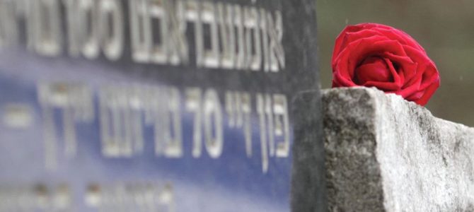 Iš tamsos į šviesą