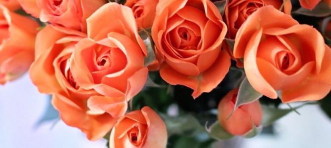 Sveikiname Etą Gurvičiūtę, sulaukus 98-erių!