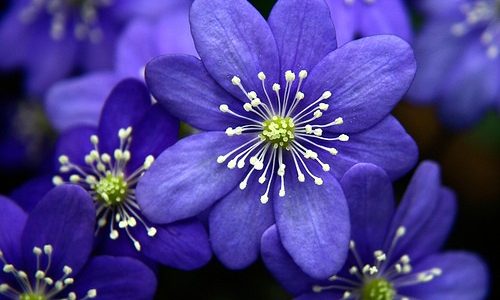 Lietuvos žydų bendruomenė sveikina Lietuvą su Šv. Velykomis