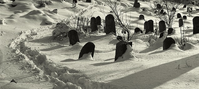 Kviečiame į R. Dichavičiaus fotografijų parodos ” Paminklas  Paminklui” atidarymą 2019 m. sausio 17 d.10 val.