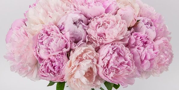 Sveikiname Etą Gurvičiūtę su 99 -uoju gimtadieniu!!!