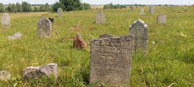 Maceva Documenting and Cataloging Old Jewish Cemetery in Seirijai, Lithuania