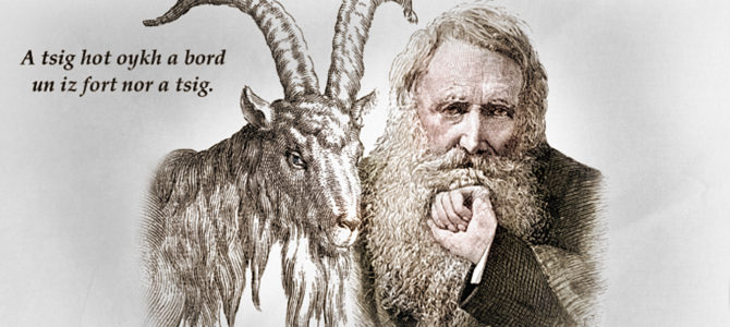 Борода не делает козу мудрецом