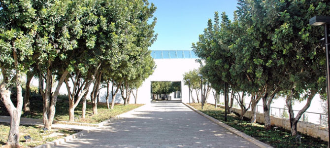 Ида Брунелли-Ленти и Антон Шмид: вопрос совести