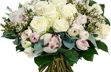 Happy Birthday, Riva!