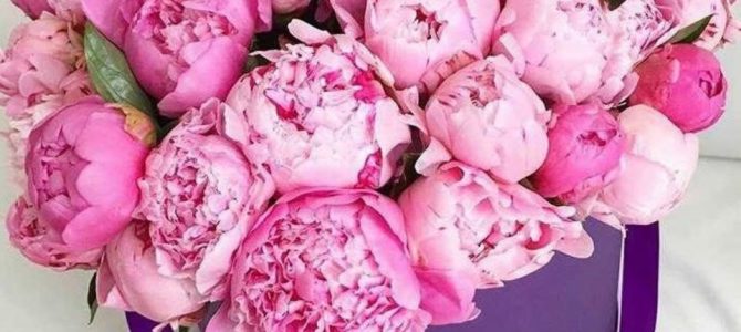 Поздравляем медиков с профессиональным праздником!