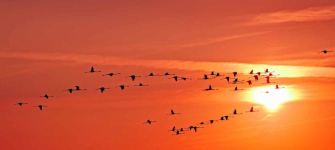 Памяти погибших во время Второй мировой войны