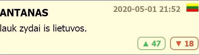Vytauto Bruverio straipsnių ciklas „Lietuva ir Holokaustas: vietoj žaizdų gydymo – nesibaigiantys traukuliai“. Lietuvos skaitytojų komentarai su nusikaltimo požymiais