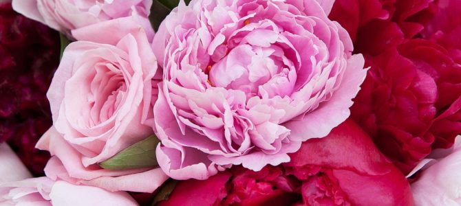 Поздравляем Жанну Скудовичене с юбилеем!