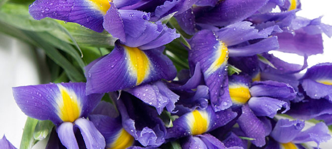 Поздравляем с юбилеем М. Л. Зельцера