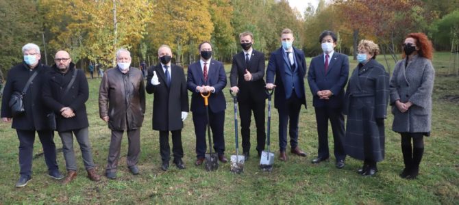 Šiaulių Dainų parkas nuo šiol taps dar patrauklesniu sakurų parku