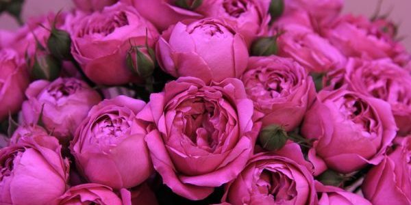 Поздравляем с юбилеем Женю Нахумовене!