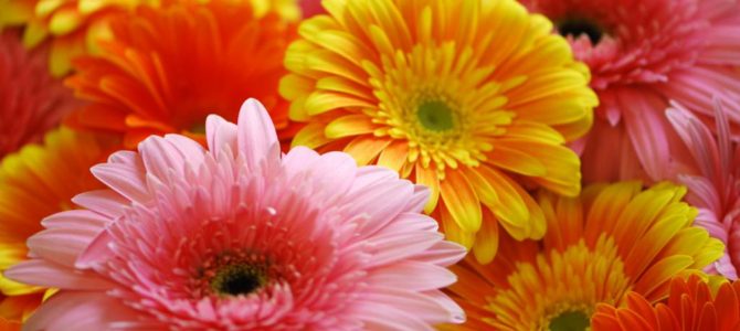 Поздравляем Эугениюса Бунку с 70-летием!