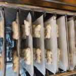 kepyklėlė Kiryat Ono  2020 m. Izraelis