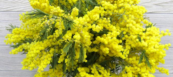 С праздником 8 марта!