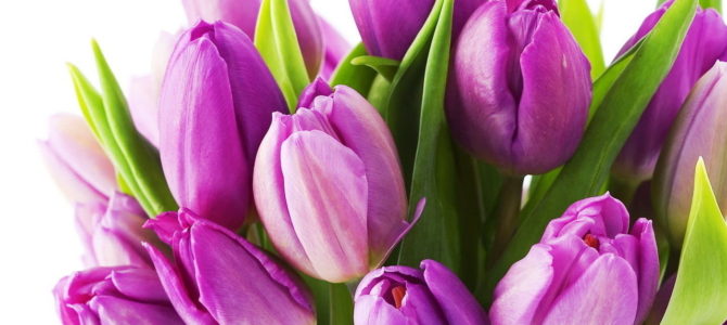 Мазаль Тов, господин посол!