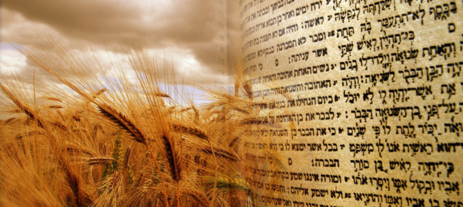 “Шаббатние беседы” с Вильямом Житкаускасом “Шаббатние беседы” с Вильямом Житкаускасом