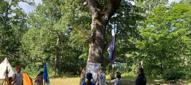 Jewish Scouting Camp
