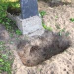 132358429-ea37eb48-7c30-478d-bf72-5143691219d2