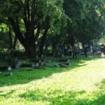 132959054-b94f7887-f15b-4743-8034-0410d1064e20