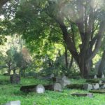 132959163-86b66935-5fa8-4928-96af-1a7f5a12acd9