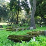 132959285-e19d0af7-5524-4023-82a6-8f1af1217d48