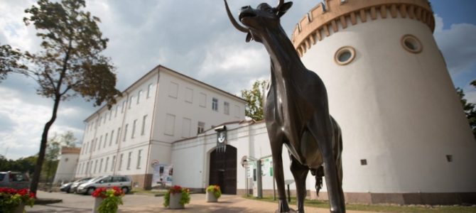 Išrinktos 2023, 2024 ir 2025 metų Lietuvos kultūros sostinės