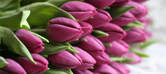 Поздравляем Маркаса Петухаускаса с юбилеем! Поздравляем Маркаса Петухаускаса с юбилеем!