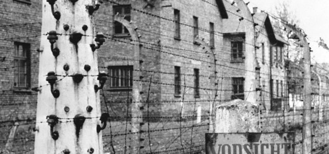 Комментарий: резолюция ООН – четкий сигнал о недопустимости отрицания Холокоста