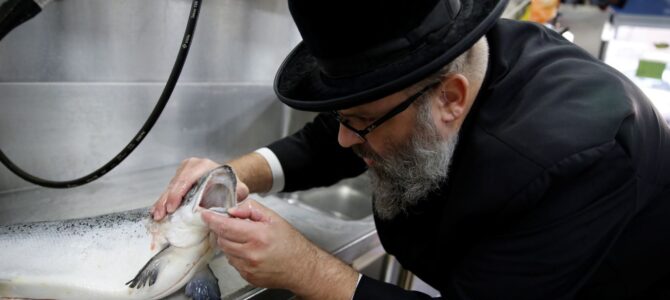 В Венгрии состоялась Европейская конференция по кашруту в век высоких технологий