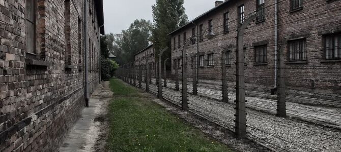 Холокост – универсальная трагедия человечности?