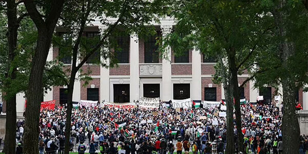 Гарвардские студенты обвинили свой университет в антисемитизме