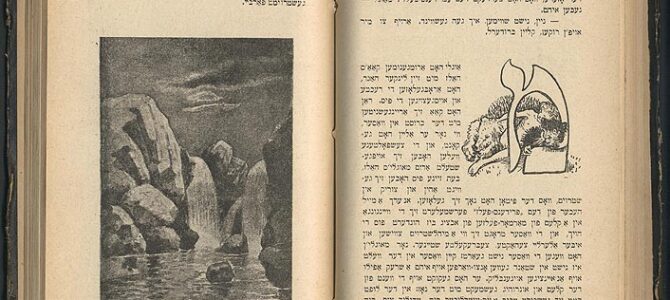 В Вильнюсе во второй раз прошли международные курсы по изучению идиша