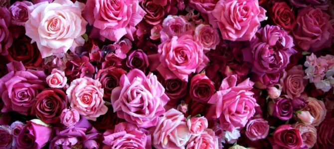 Поздравляем с юбилеем Любу Шерене!