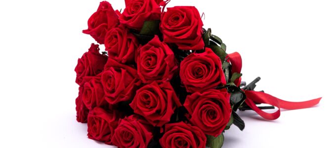 Happy Birthday, Liuba