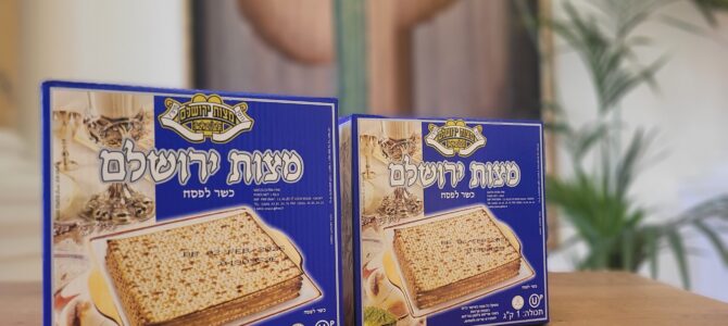 Švieži macai bendruomenėje!