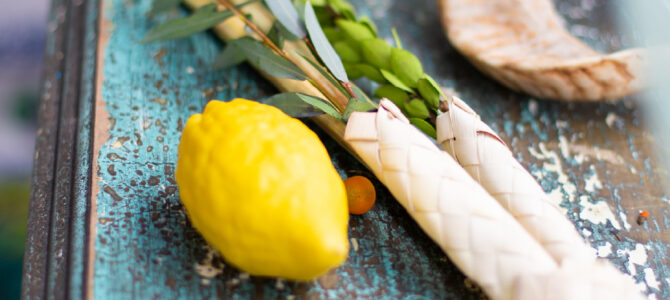 Nataljos Cheifec paskaita „Žydų tradicijos – Sukoto šventė“ Nataljos Cheifec paskaita „Žydų tradicijos – Sukoto šventė“