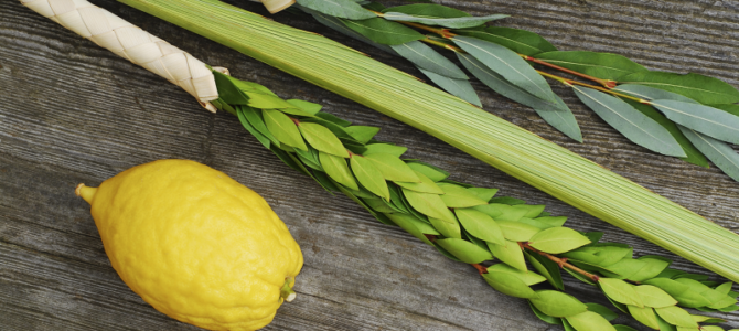 Chag Sukkot Sameach! Chag Sukkot Sameach!